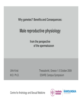 Male Reproductive Physiology