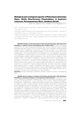 Biological and Ecological Aspects of Pinirampus Pirinampu (Spix, 1829), Siluriformes, Pimelodidae, in Capivara Reservoir, Paranapanema River, Southern Brazil