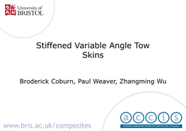 Stiffened Variable Angle Tow Skins