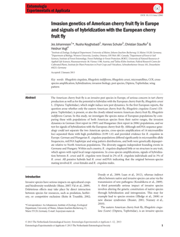 Invasion Genetics of American Cherry Fruit Fly in Europe and Signals of Hybridization with the European Cherry Fruit