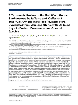 A Taxonomic Review of the Gall Wasp Genus Saphonecrus Dalla-Torre