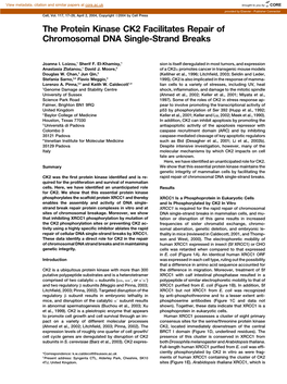 The Protein Kinase CK2 Facilitates Repair of Chromosomal DNA Single-Strand Breaks