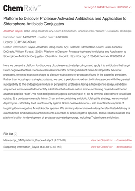 Platform to Discover Protease-Activated Antibiotics and Application to Siderophore-Antibiotic Conjugates