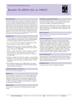 Keratin 34 Sirna (M): Sc-146413
