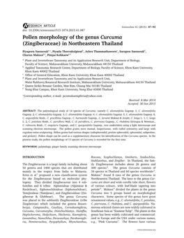 Pollen Morphology of the Genus Curcuma (Zingiberaceae) in Northeastern Thailand