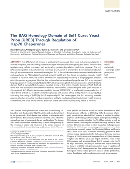 The BAG Homology Domain of Snl1 Cures Yeast Prion [URE3] Through Regulation of Hsp70 Chaperones