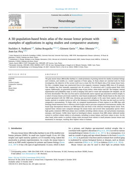 A 3D Population-Based Brain Atlas of the Mouse Lemur Primate with Examples of Applications in Aging Studies and Comparative Anatomy