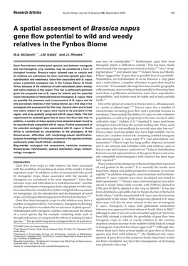 A Spatial Assessment of Brassica Napus Gene Flow Potential to Wild and Weedy Relatives in the Fynbos Biome