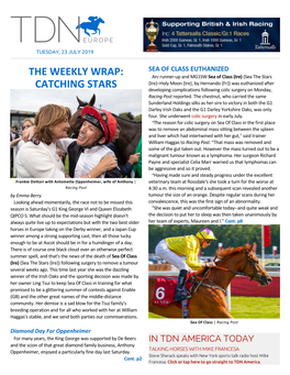 The Weekly Wrap: Catching Stars