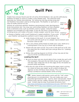 Quill Pen 9 & up Kids’ Club People Have Always Found Uses for All Sorts of Bird Feathers