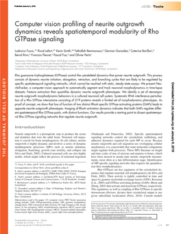 Computer Vision Profiling of Neurite Outgrowth Dynamics Reveals Spatiotemporal Modularity of Rho Gtpase Signaling