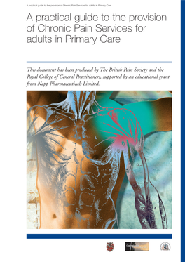 A Practical Guide to the Provision of Chronic Pain Services for Adults In