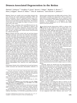 Drusen-Associated Degeneration in the Retina