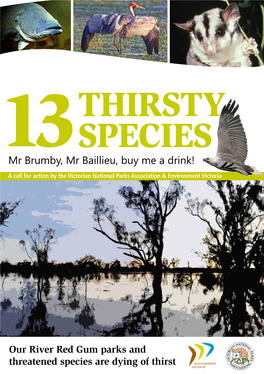 13Thirsty Species