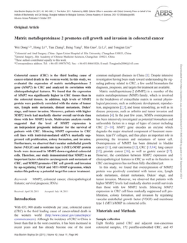 Matrix Metalloproteinase 2 Promotes Cell Growth and Invasion in Colorectal Cancer