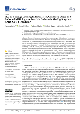 H2S As a Bridge Linking Inflammation, Oxidative Stress And