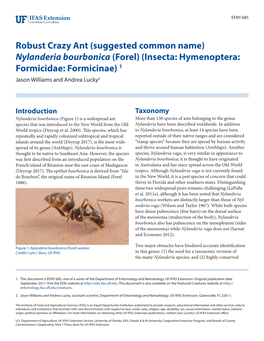 Nylanderia Bourbonica (Forel) (Insecta: Hymenoptera: Formicidae: Formicinae) 1 Jason Williams and Andrea Lucky2