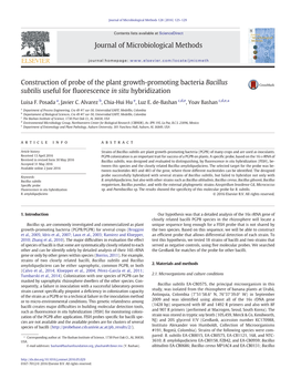 Construction of Probe of the Plant Growth-Promoting Bacteria Bacillus Subtilis Useful for ﬂuorescence in Situ Hybridization