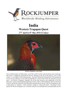 Western Tragopan Quest