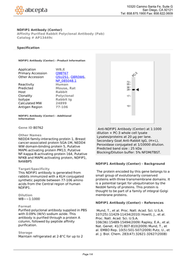 NDFIP1 Antibody (Center) Affinity Purified Rabbit Polyclonal Antibody (Pab) Catalog # Ap13449c