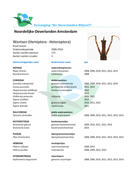 Noordelijke Oeverlanden Amsterdam Wantsen (Hemiptera