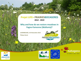 Prairies Bocagères » LIFE Projects (Presentation in the Sicona’S Seminar in Luxembourg Last June) One of the Complementary Guidelines from Natagora