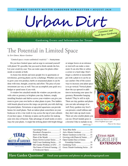 The Potential in Limited Space by Terri Simon, Master Gardener