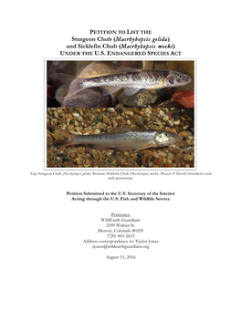 Sturgeon Chub (Macrhybopsis Gelida) and Sicklefin Chub (Macrhybopsis Meeki) UNDER the U.S