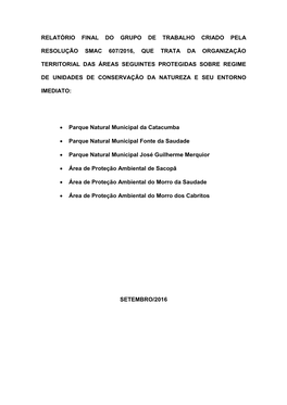 Relatório Final Do Grupo De Trabalho Criado Pela