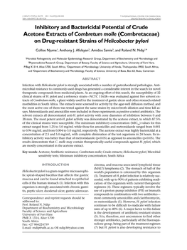 Combretaceae) on Drug-Resistant Strains of Helicobacter Pylori