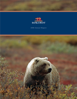 Annual-Report-2008.Pdf