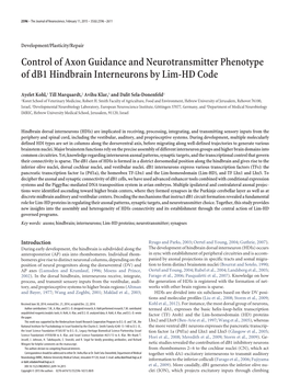Control of Axon Guidance and Neurotransmitter Phenotype of Db1 Hindbrain Interneurons by Lim-HD Code