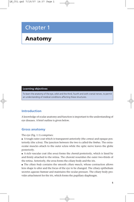 Chapter 1 Anatomy