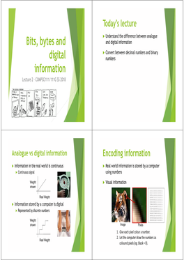 Bits, Bytes and Digital Information