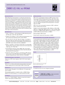 Datasheet Blank Template