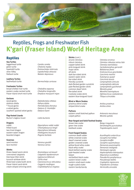 Reptiles, Frogs and Freshwater Fish: K'gari (Fraser Island)