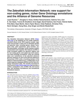 The Zebrafish Information Network: New Support for Non-Coding Genes