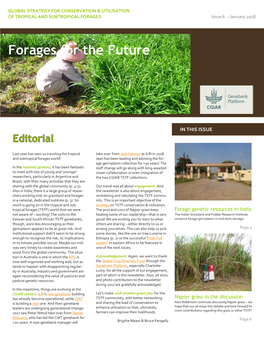 Forages for the Future