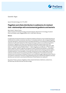 Flagellate and Ciliate Distribution in Sediments of a Lowland River: Relationships with Environmental Gradients and Bacteria