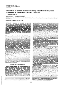 Expression in Escherichia Coli by a Ribozyme