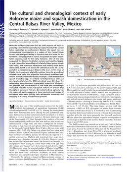 The Cultural and Chronological Context of Early Holocene Maize and Squash Domestication in the Central Balsas River Valley, Mexico