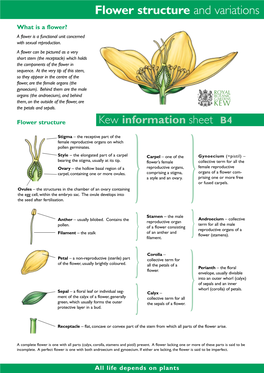 Flower Structure and Variations