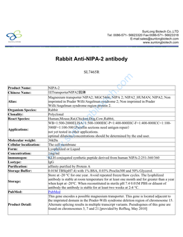 Rabbit Anti-NIPA-2 Antibody-SL7465R