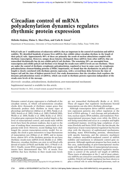 Circadian Control of Mrna Polyadenylation Dynamics Regulates Rhythmic Protein Expression