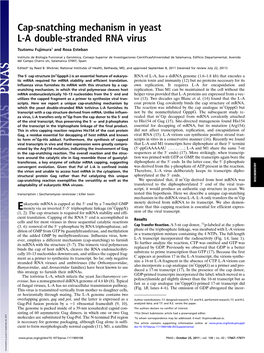 Cap-Snatching Mechanism in Yeast L-A Double-Stranded RNA Virus