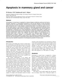 Apoptosis in Mammary Gland and Cancer