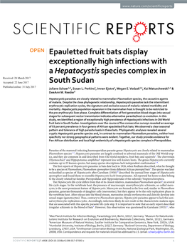 Epauletted Fruit Bats Display Exceptionally High