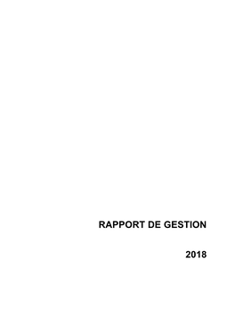 Rapport De Gestion 2018