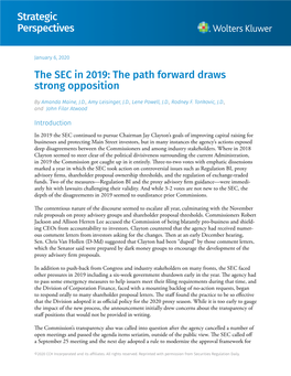 Strategic Perspectives the SEC in 2019: the Path Forward Draws