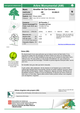 Arbre Monumental (AM)